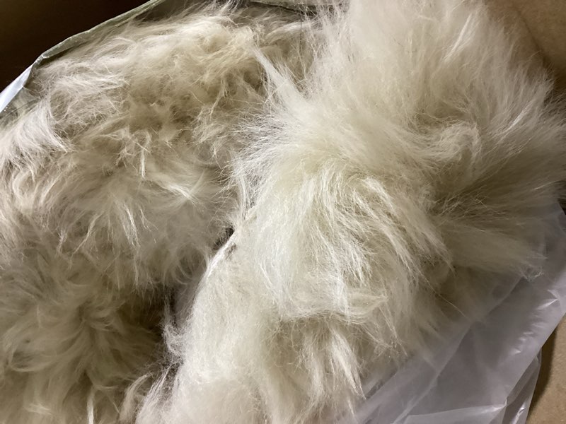 Condition photo showing Good Condition for Real Wool 4 Pack Square Cushion Luxurious Comfortable Sheepskin Chair Pad for Children's Room Study Cushion Classrooms Study Desks Chair Office Computer Chair Cushion(18x18 Inch,Cream Coffee) 18x18 Inch Cream Coffee 4