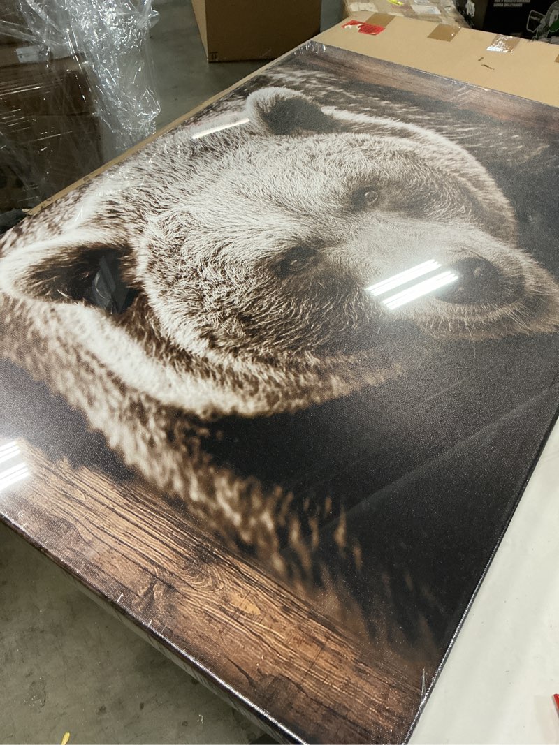 Condition photo showing Good Condition for iKNOW FOTO Grizzly Bear Canvas Wall Art 24x36 - Vintage Brown Bear Print for Home & Kitchen Decor, Modern Animal Picture