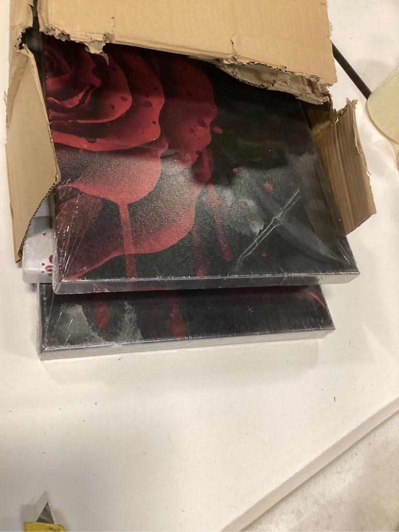 Condition photo showing Good Condition for Nachic Wall Large Red Flower Picture Painting Black and White Red Rose Wall Art Canvas Modern Bedroom Living Room Decor Framed Ready to Hang