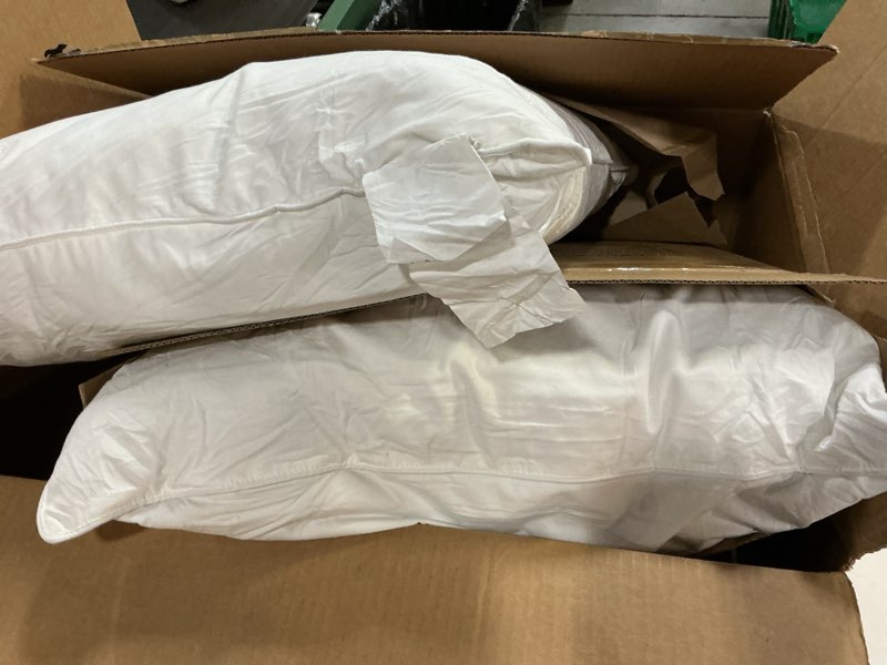 Condition photo showing Good Condition for bhz throw pillows 20x20 euro pillow inserts set of 2, down feather alternative pillow inserts, decorative soft large square white throw pillows insert for couch bed dorm sofa with breathable cover white 20x20 inch (pack of 2)