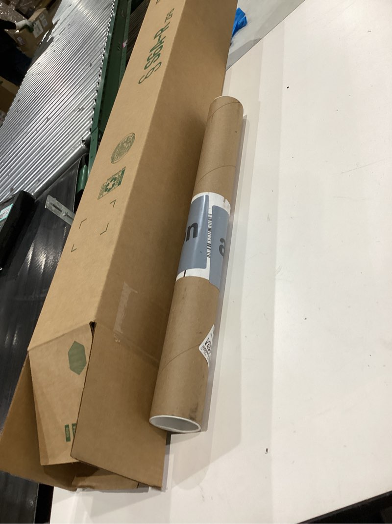 Persepolis Movie Poster (11 x 17)