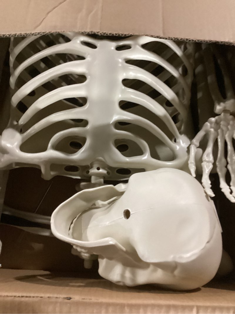 Condition photo showing New/Like New for 36" skeleton halloween decorations, 3ft realistic full body movable posable joints skeleton, creepy halloween plastic skeleton for graveyard decorations, haunted house props indoor/outdoor decor 3ft skeleton