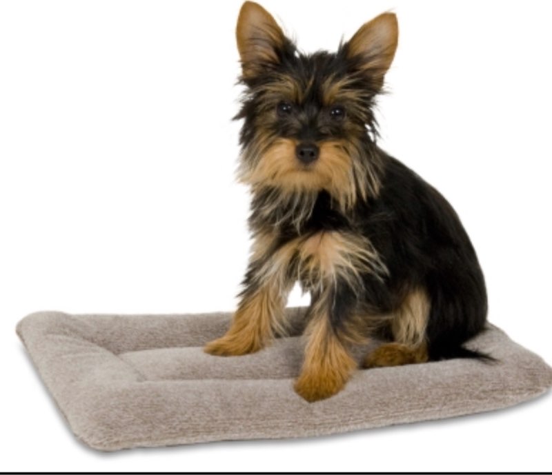 PetMate 029695265921 16 x 9 in. Kennel Mat  Tan 