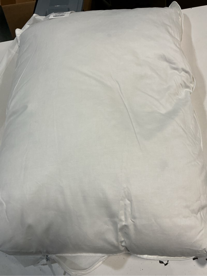 Condition photo showing Good Condition for premium down pillow, standard, medium
