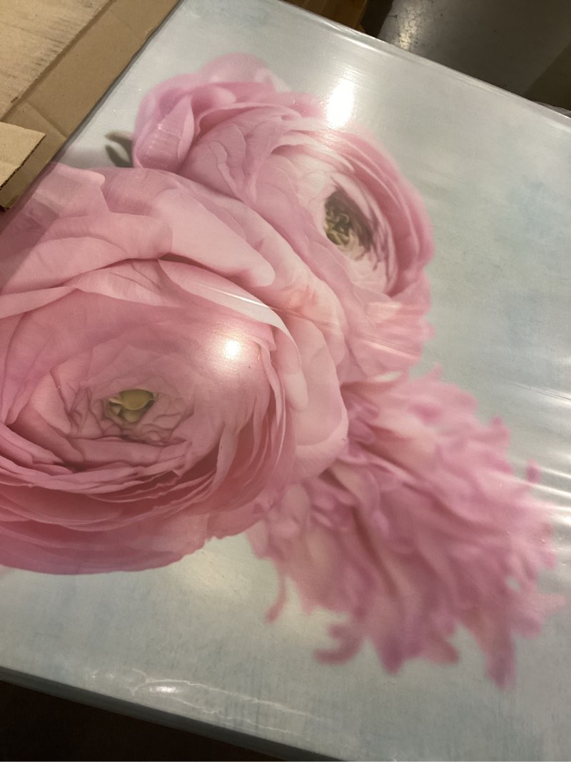 Condition photo showing Good Condition for Pink Ranunculus Flowers in Vase – Elegant Floral Wall Art – Botanical Flower Canvas Print – 30x40 Gallery Wrapped Canvas for Bedroom, Dining Room, or Living Room Décor 40"L x 30"W