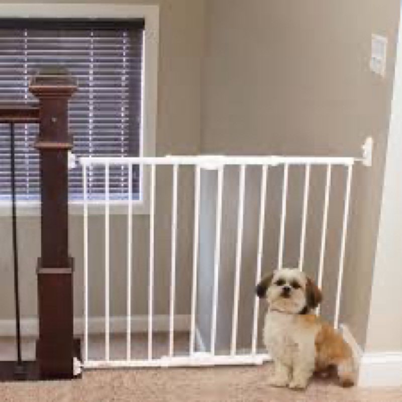 Assorted indoor gate baby and pet