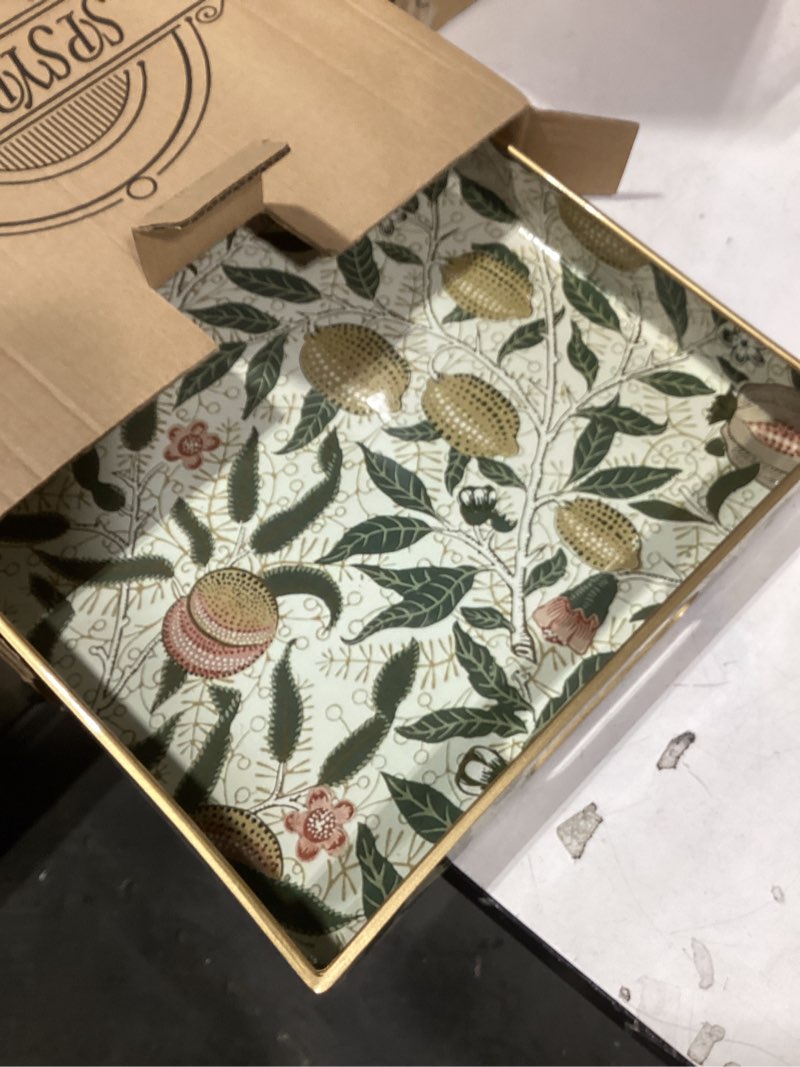 Condition photo showing Good Condition for Spsyrine Lemon Serving Tray with Handles, Plastic Decorative Tray for Coffee Table, Living Room, Home Decor Multi L