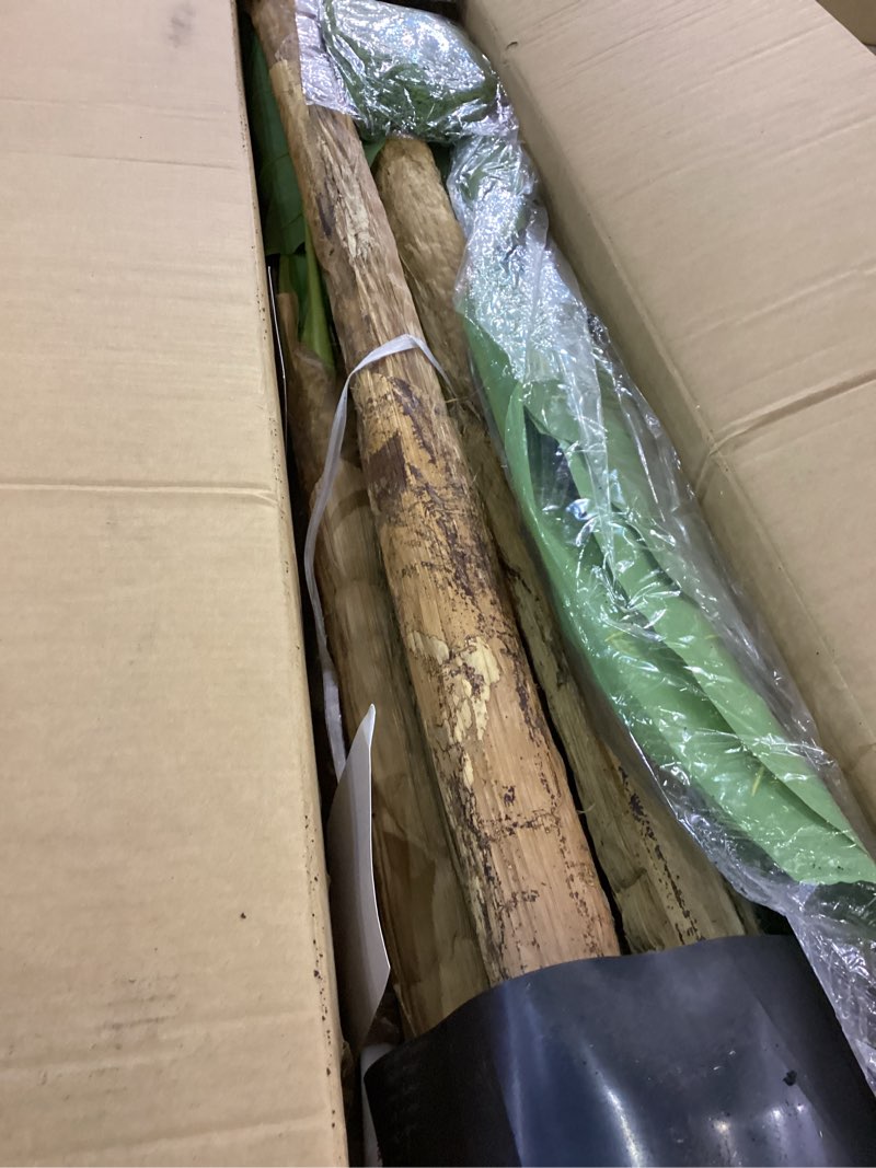 Condition photo showing Good Condition for 9FT Artificial Banana Tree Tall Fake Banana Leaf Plant Faux Banana Silk Tree Faux Banana Leaves for Home Swimming Pool Indoor Outdoor Patio Tropical Decor