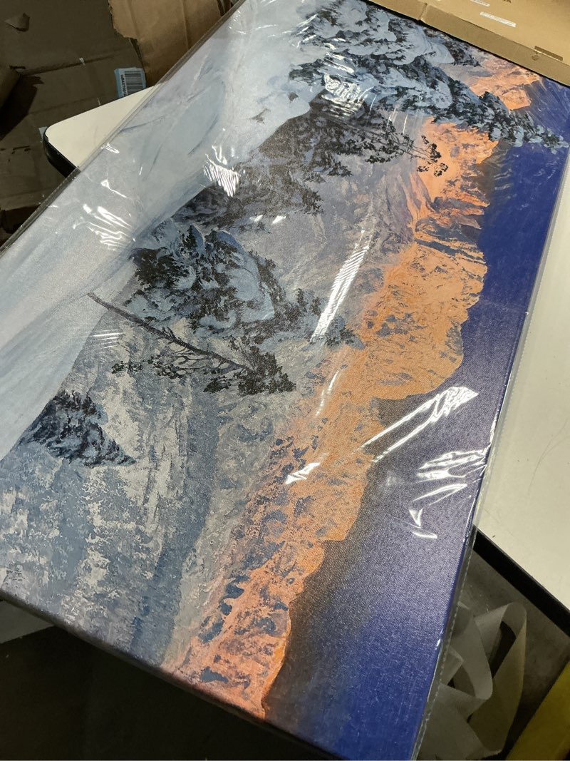 Condition photo showing Good Condition for weiyiart snow mountain wall art for living room winter tree forest picture canvas art print nature landscape paintings modern artwork for dining room bedroom ready to hang 20"x40" 20"l x 40"w snow mountain1