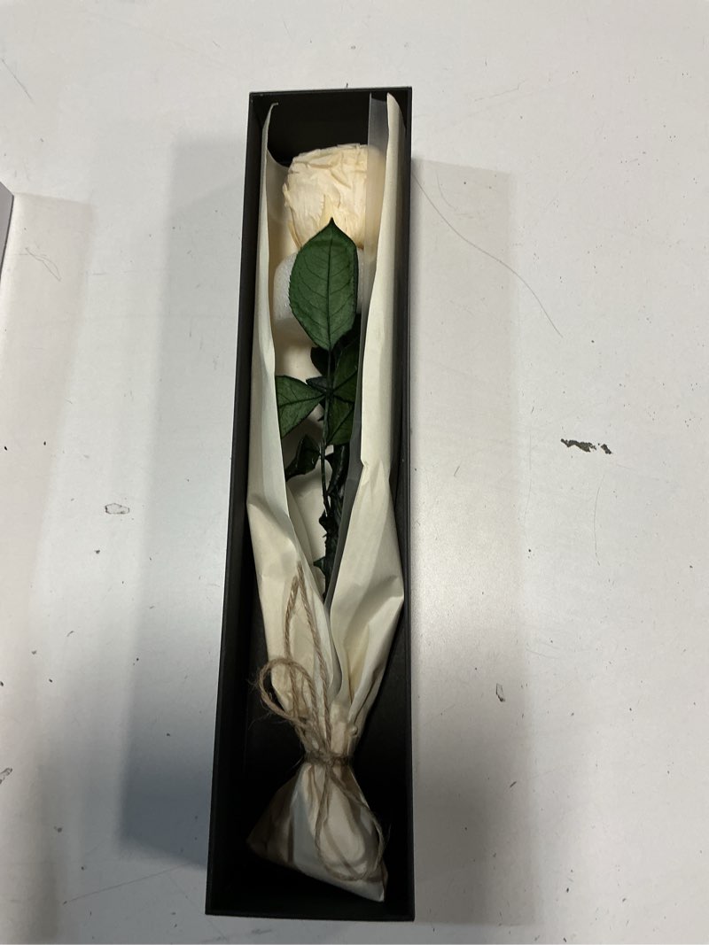 Condition photo showing Good Condition for Valentines Day Gifts for Her,Valentines Rose Flowers Birthday Gifts for Women,Valentines Gifts for Wife,Preserved Rose, Preserved Flowers for Delivery Prime, Single Rose Real Rose - Champagne Rose