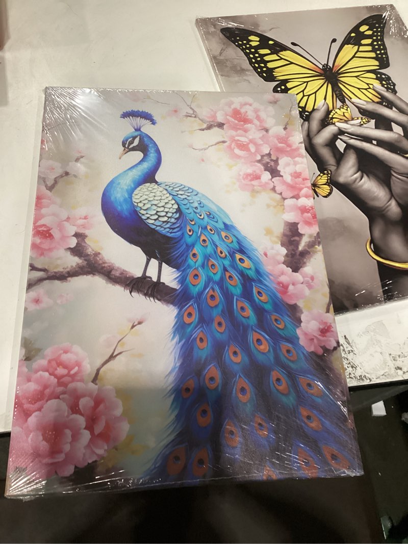 Condition photo showing New/Like New for QIXIANG Peacock Canvas Wall Art - Blue Peacock Standing on Flower Branch Picture - Elegant Animal Canvas Prints for Living Room Decor - Frame (16.00" x 24.00") Peacock D 24"L x 16"W