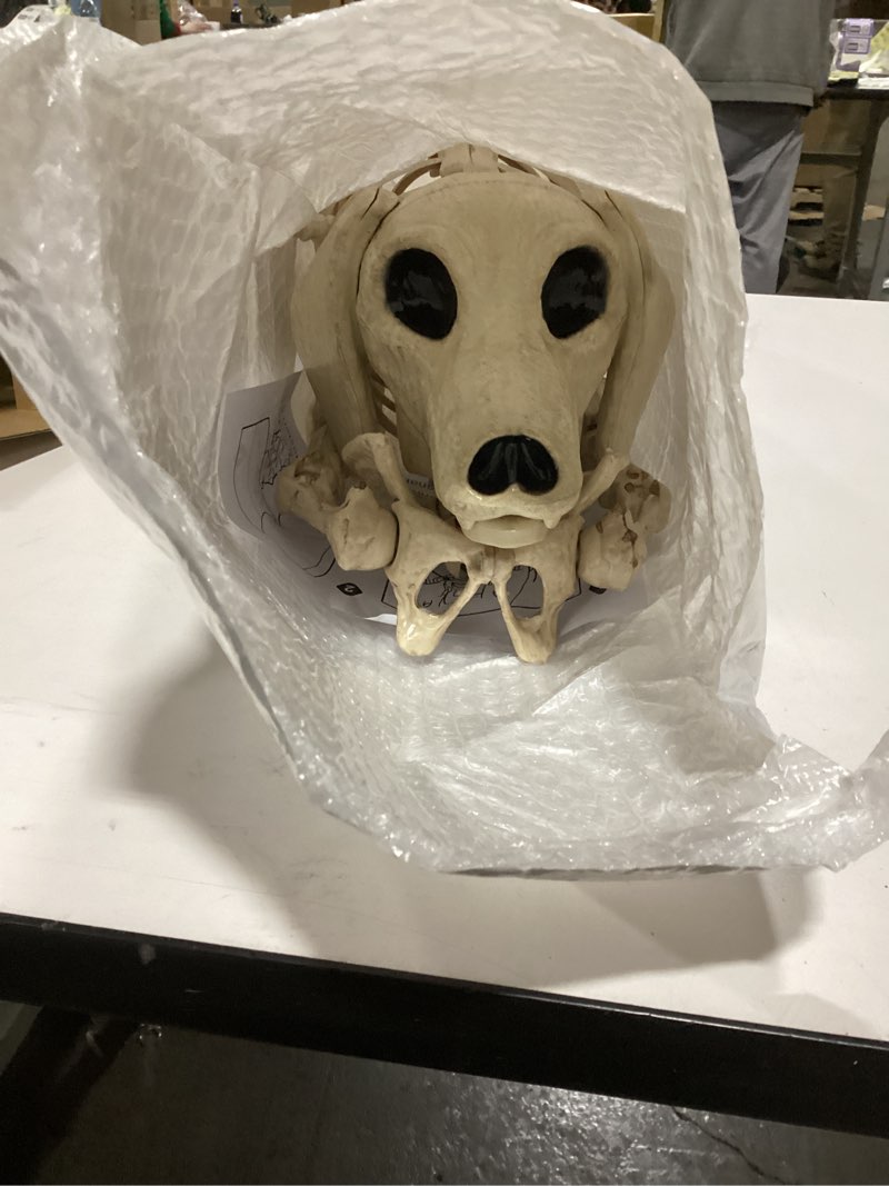 Condition photo showing Good Condition for JOYIN Wiener Dog Skeleton 24” Plastic Animal Posable Skeleton Halloween Decorations with Movable Joints for Graveyard Scenes Haunted House Prop Party Decor Spooky Indoor Outdoor Decorations