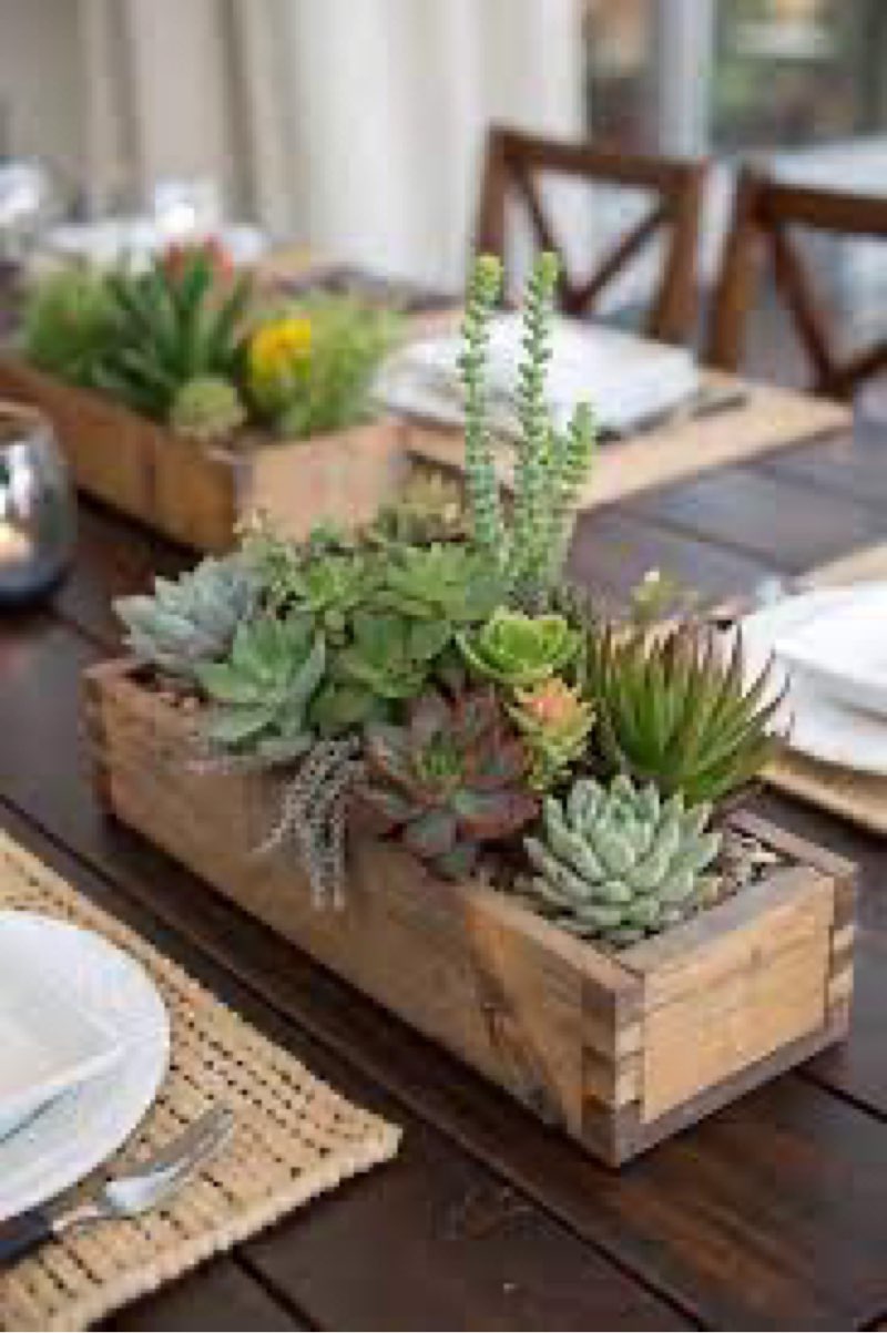Descubre 800 ideas de Adornos para jardin y decoración de unas |
