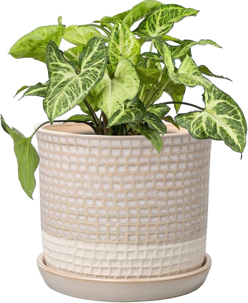 DILATATA Set of 2 Ceramic Planter Pots with Drainage Hole and Saucer, Round Flower Pot Hobnail Moder