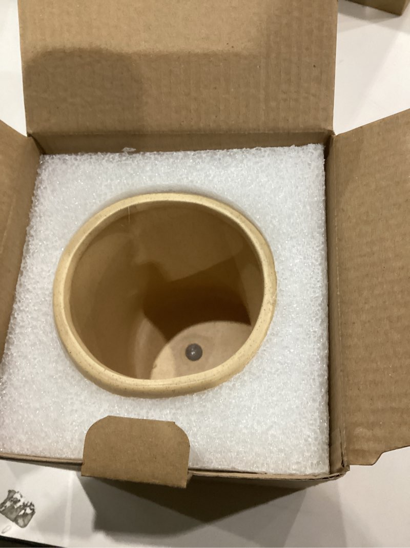 BASE ROOTS Home Decor Plant Pot, Aesthetic Room Decor Flower Vase, Boho Planter for Indoor Plants, C