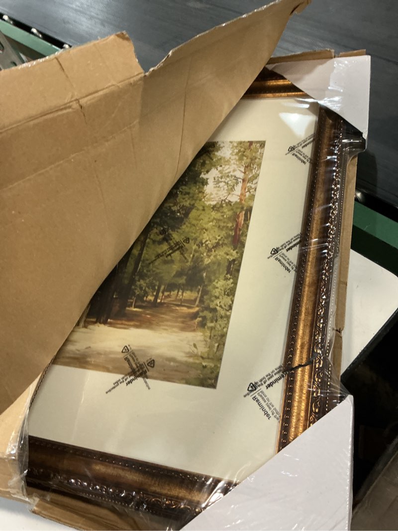 Condition photo showing New/Like New for splinterix 16x20 gold picture frame vintage, matted to 11x14 print, large | 20x16 antique brass photo frames with mat, ornate dark gold, hd plexiglass, wall mount, vertical or horizontal, home gallery