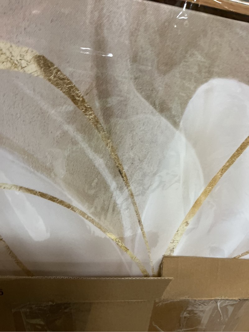 Condition photo showing New/Like New for framed abstract wall art gold pictures wall decor line painting on canvas 20"x 40" contemporary floral artwork for living room office bedroom aesthetic 40"l x 20"w gold
