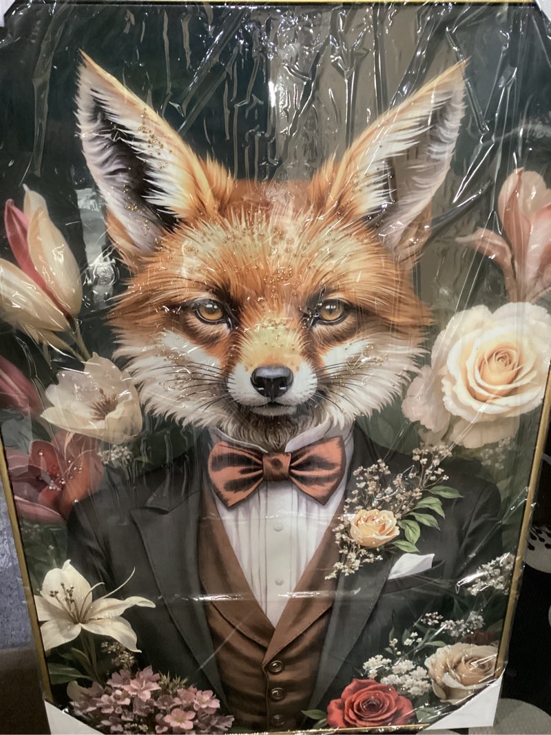 Condition photo showing New/Like New for Fox in Tuxedo Poster Art Print, Animal Portraits Humor Wildlife Artwork Wall Art for Bedroom, Living Room Decor Prints Gallery 20 (Fox, 11 x 14 inches, Black Frame)