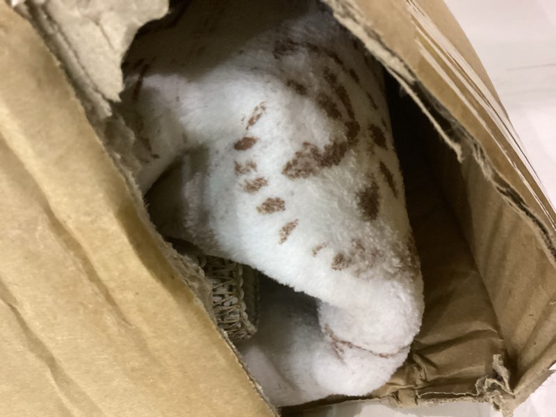 area rug for living room