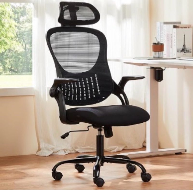 Totnz Ergonomic Mesh High Back Desk Chair with 2D Armrest and Headrest, Adjustable Lumbar Support, S