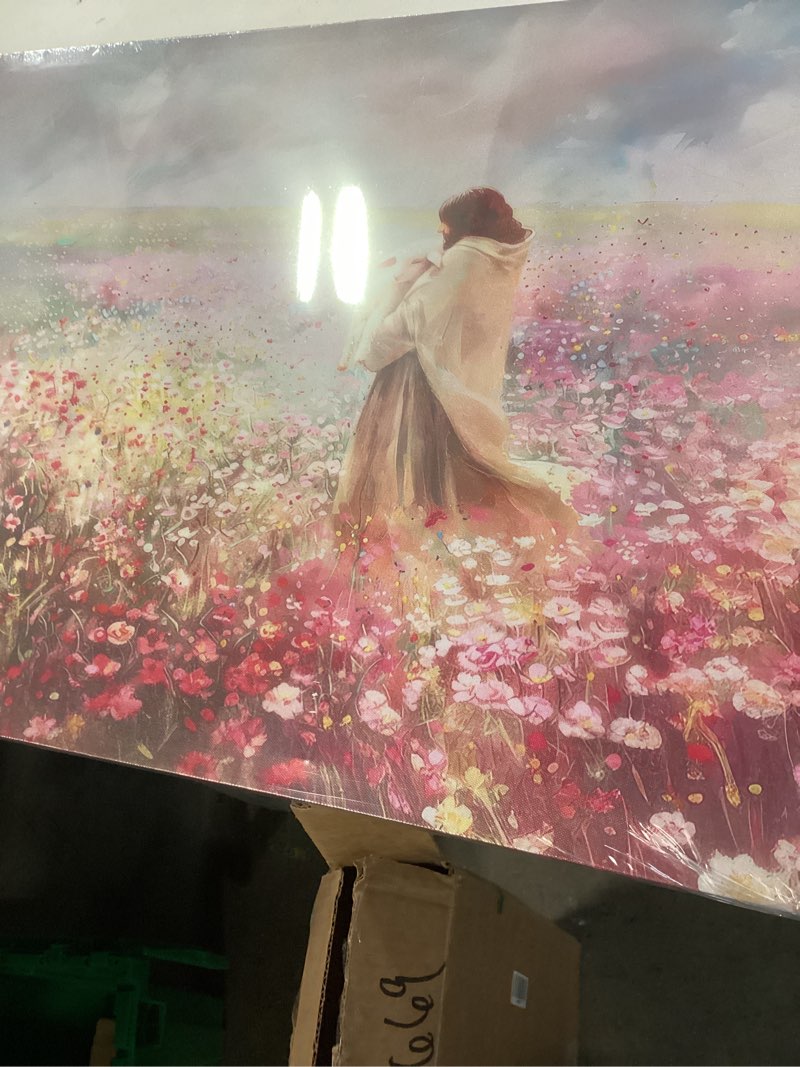 Condition photo showing New/Like New for Jesus and Lamb Canvas Wall Art The Lost Lamb Christian Painting Picture Wall Decor God Religious Belief Poster Print Artwork for Church Bedroom Living Room Home Decoration,16x12in Canvas Jesus Sheep 12x16in Canvas