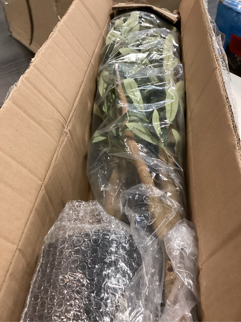 Condition photo showing Good Condition for Bellacat Faux Olive Tree 5ft?Olive Trees Artificial Indoor with Natural Wood Trunk and Realistic Leaves and Fruits. 5 Feet(60in) Fake Olive Tree for Home House Office Décor. 1 5ft