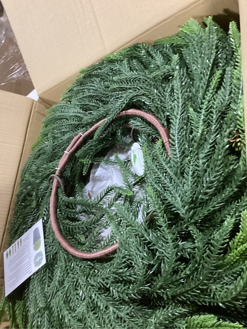 Condition photo showing Good Condition for 24inch Christmas Wreath 2 Pack, Norfolk Pine Wreath for Front Door, 24 Inch Xmas Village Wreath Holiday Decor Christmas Decorations for Home Wall Window Indoor Outdoor Outside Winter