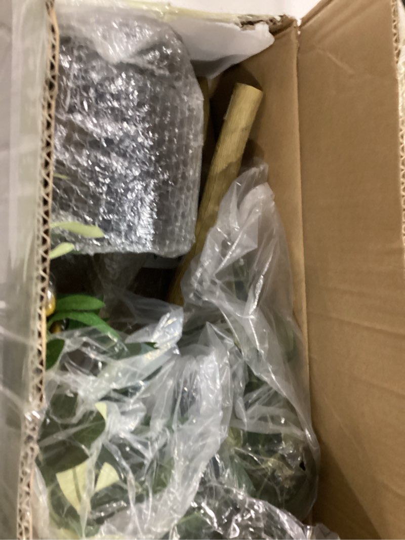 Condition photo showing Good Condition for 6ft Faux Olive Tree, Artificial Olive Tree Indoor, High Imitation Silk Plant Fake Olive Tree with Realistic Leaves and Fruits, Suitable for Home Living Room Office Decoration