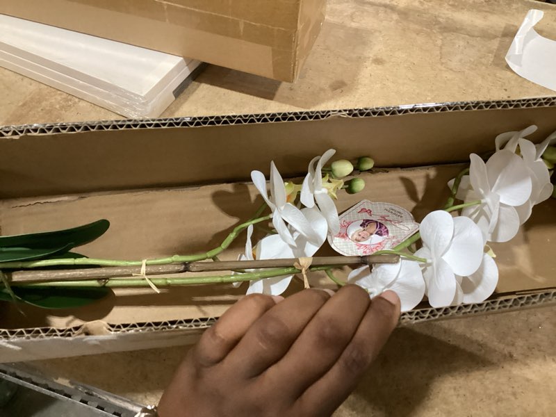 Condition photo showing New/Like New for dolly parton white artificial orchid in pink ceramic pot, 9.8x5.5x24 inch