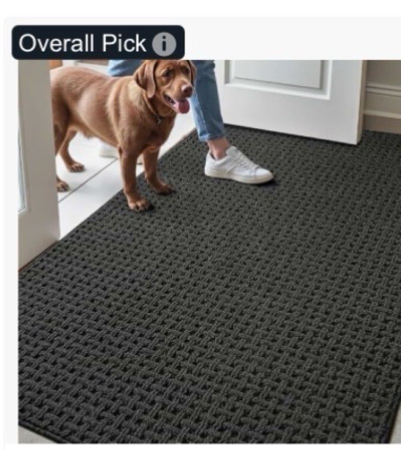 LUMI Washable Indoor Entrance Doormat 32x48, Absorbent Quick-Dry Door Mat, Dirt Trapper Non-Slip Low