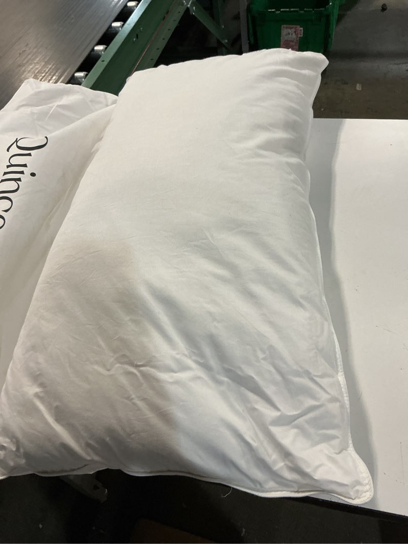 Condition photo showing Good Condition for premium down pillow, king, soft