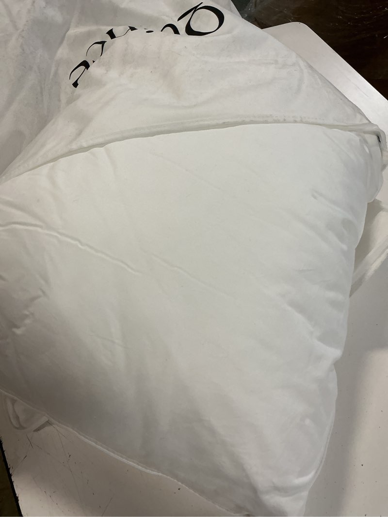 Condition photo showing As Is for premium down alternative pillow