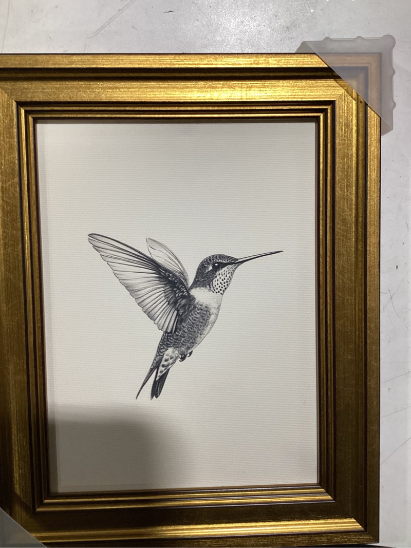 Condition photo showing New/Like New for VIYYIEA Vintage Gold Framed Wall Art for Living Room, Birds Canvas Prints Home Decor, Sketch Paintin