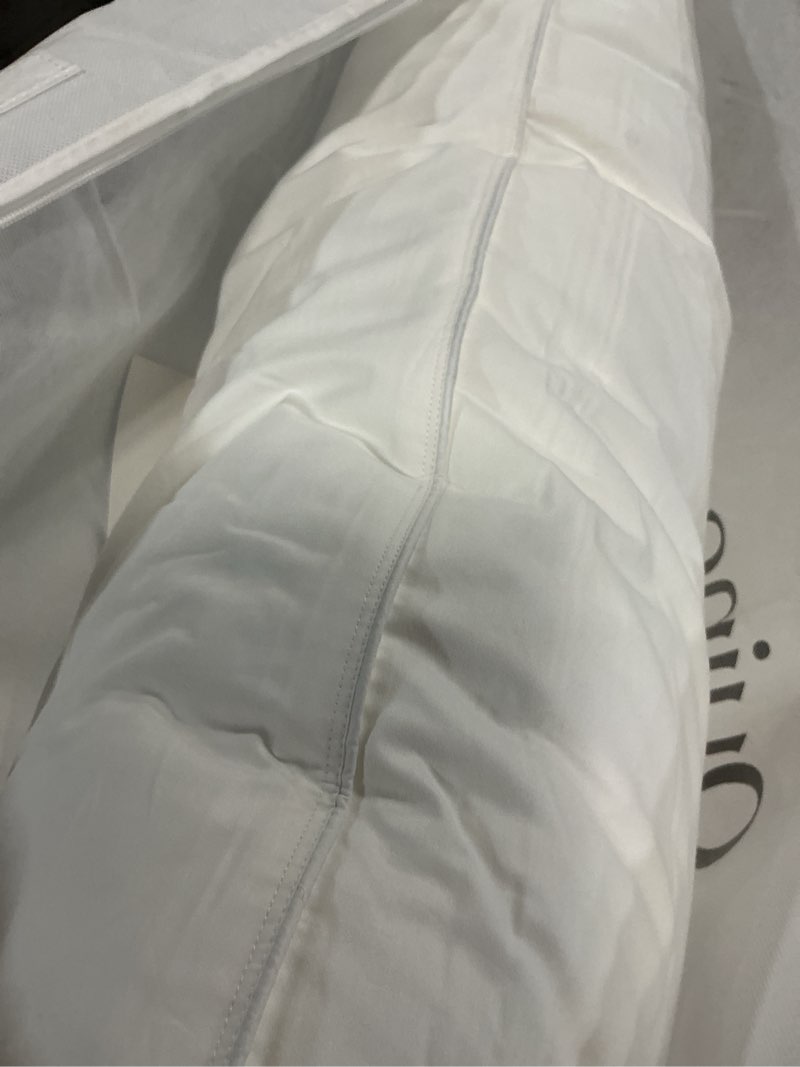Condition photo showing New/Like New for quince premium down alternative pillow king medium/firm