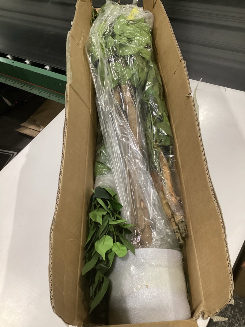 Condition photo showing Good Condition for haihong artificial ficus tree 5ft faux silk plants with sturdy plastic nursery pot,fake ficus trees for home office farmhouse indoor outdoor decor perfect housewarming gift (5ft-2packs) 5ft-2packs ficus tree