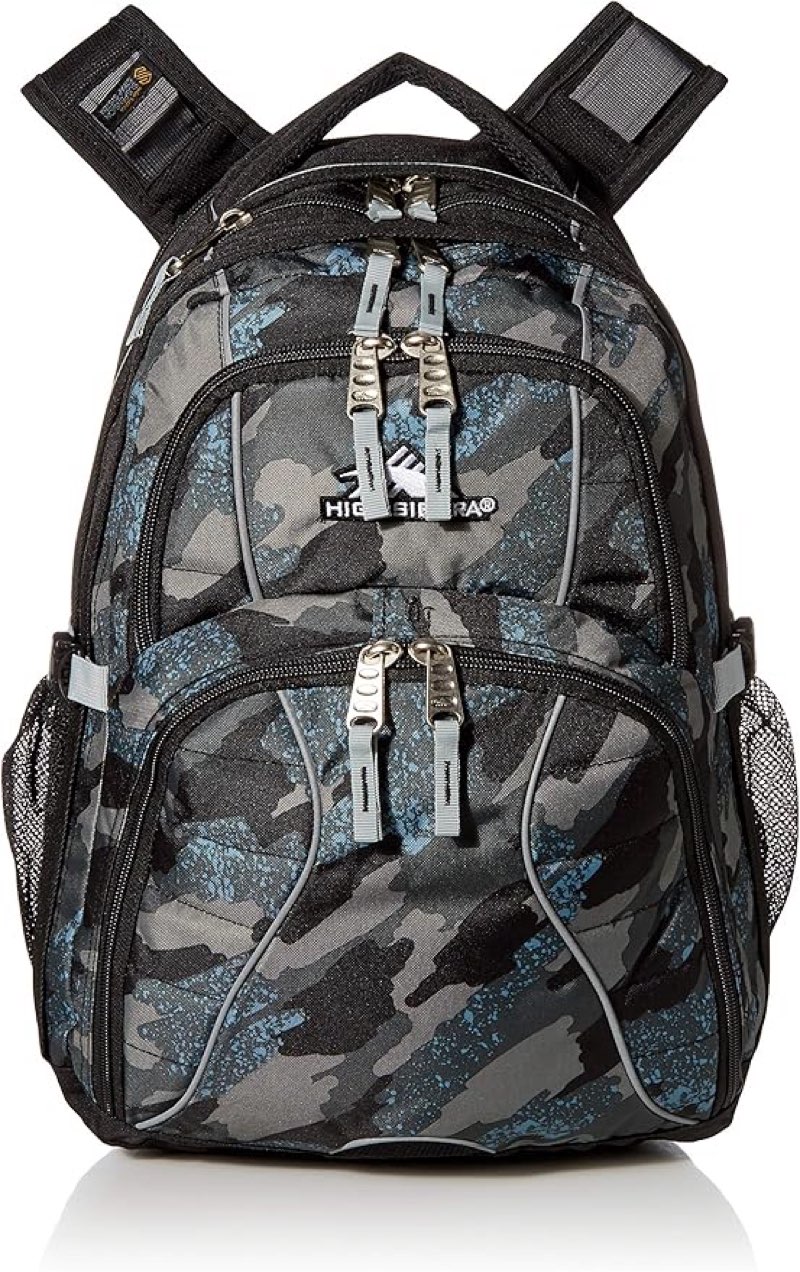 high sierra swerve laptop backpack