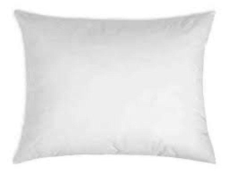 Insert pillow size 20x24
