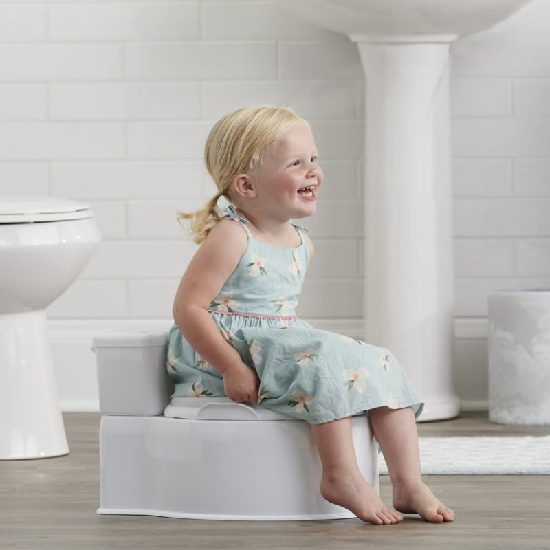 Regalo 2-in-1 My Little Potty with Flushing Sound and Training Seat