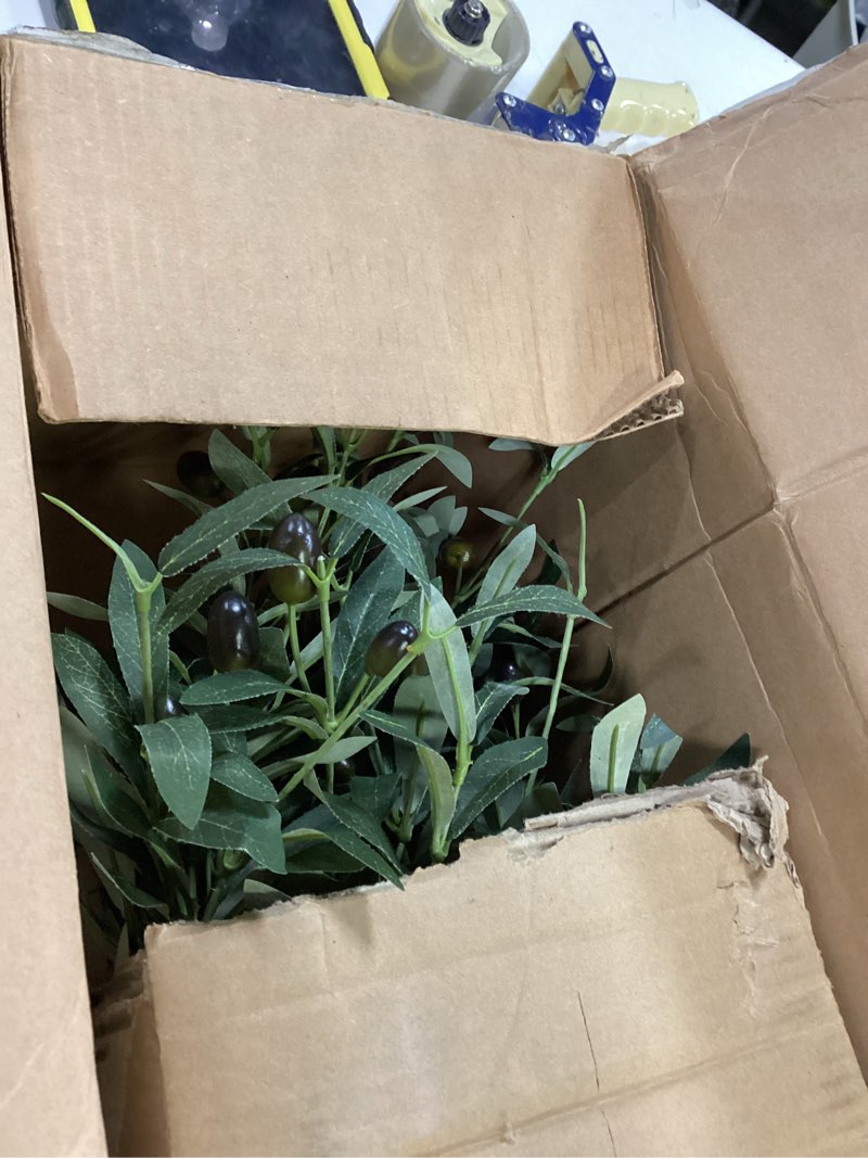 Condition photo showing As Is for Realead 6ft Olive Trees Artificial Indoor - Large Faux Olive Tree with Realistic Leaves and Olives - Full and Grand Design Fake Olive Tree with Sturdy Base for Indoor Outdoor Office Decor