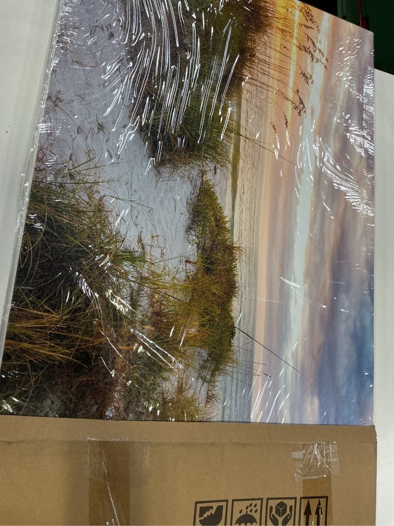 Condition photo showing Good Condition for canvas wall art for living room bedroom Wall Decor ocean sand dunes grass Landscape painting Ready to Hang Home Decorations office family bathroom kitchen sea beach canvas art Prints pictures Works 40"L x 20"W Ocean Sand Dunes Grass Landscape