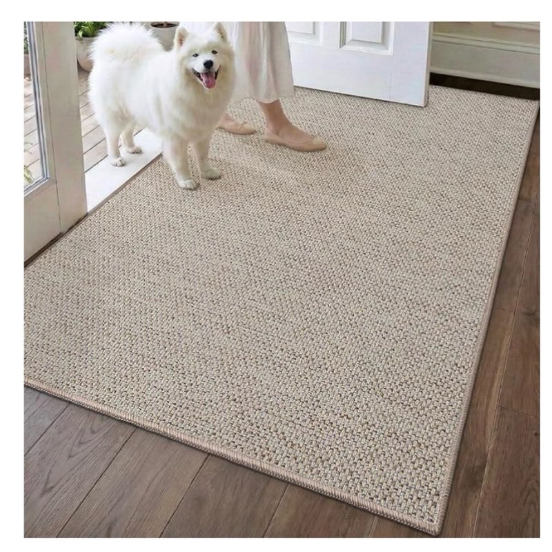 DEXI Ultra Thin Door Mat Indoor Entrance 32x48, Non Slip Rubber Backed Entryway Mats Dirt Trapper, L