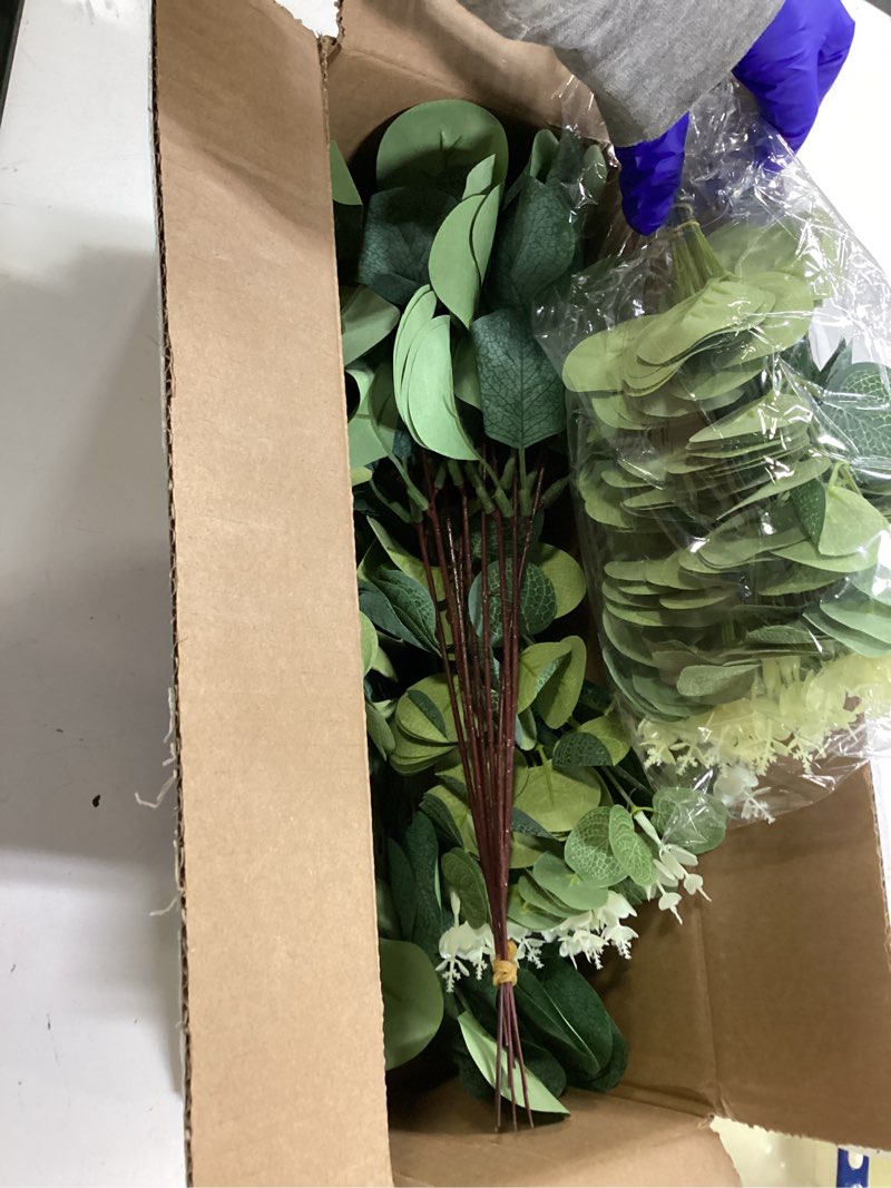 Condition photo showing Good Condition for Giegxin 180 Pcs 3 Kinds Mixed Eucalyptus Leaves Stems Bulk Artificial Silver Dollar Leaves Picks Dried Eucalyptus Bundle Faux Spray for Wedding Vase Bouquet Floral Arrangement (Green) Green 180