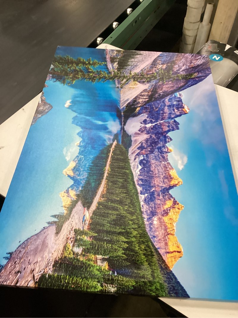 https://lotting-media.assets.bidfta.com/lotting_1c3929b0-b602-4dce-a719-701dc1a83e34