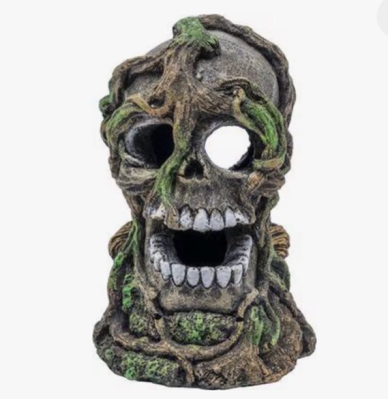 GloFish Cycle Skull Aquarium Ornament