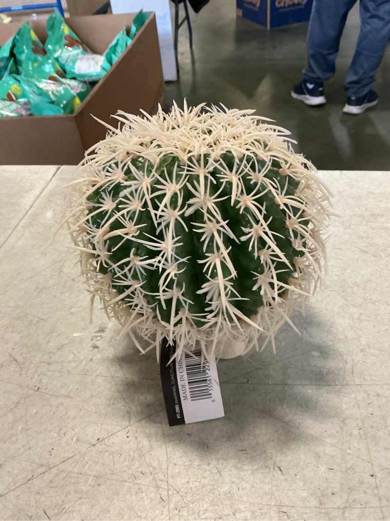 Condition photo showing New/Like New for Exo-Terra Desert Barrel Cactus Terrarium Plant