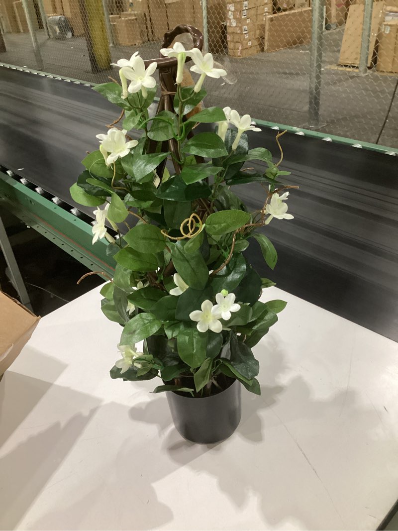 artificial plant, size unknown