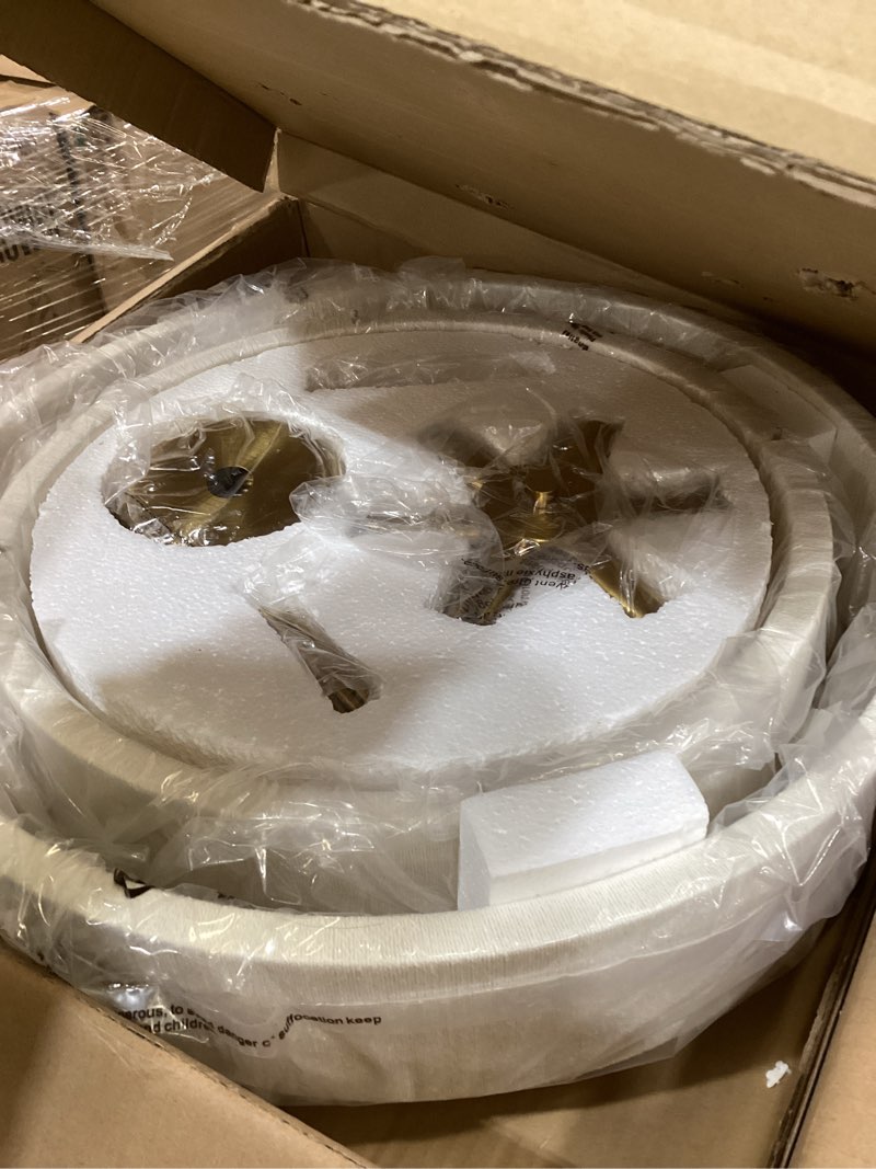 Condition photo showing Good Condition for 20”Hand Woven Rattan Chandelier Boho Pendant Light Adjustable Coastal Pendant Light for Kitchen Island Dining Living Room, White, UL Listed A-White