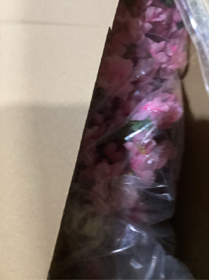 Condition photo showing As Is for HUAESIN 6.5ft Artificial Cherry Blossom Tree with 32 Branches, Pink Silk Flowers for Home, Wedding, Party, Office Decor