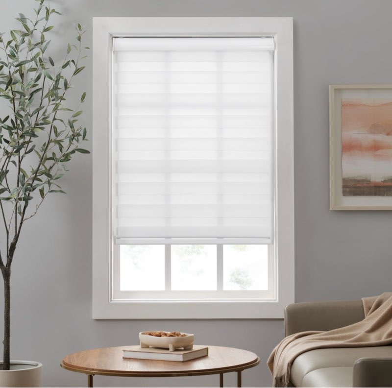 Eclipse Zebra Cordless Roller Shades, Dual Layer Fabric Window Shades, Light Filtering Shades for Privacy, Easy Lift Blinds with Cassette Valance, 31 in Wide x 72 in Long, in White