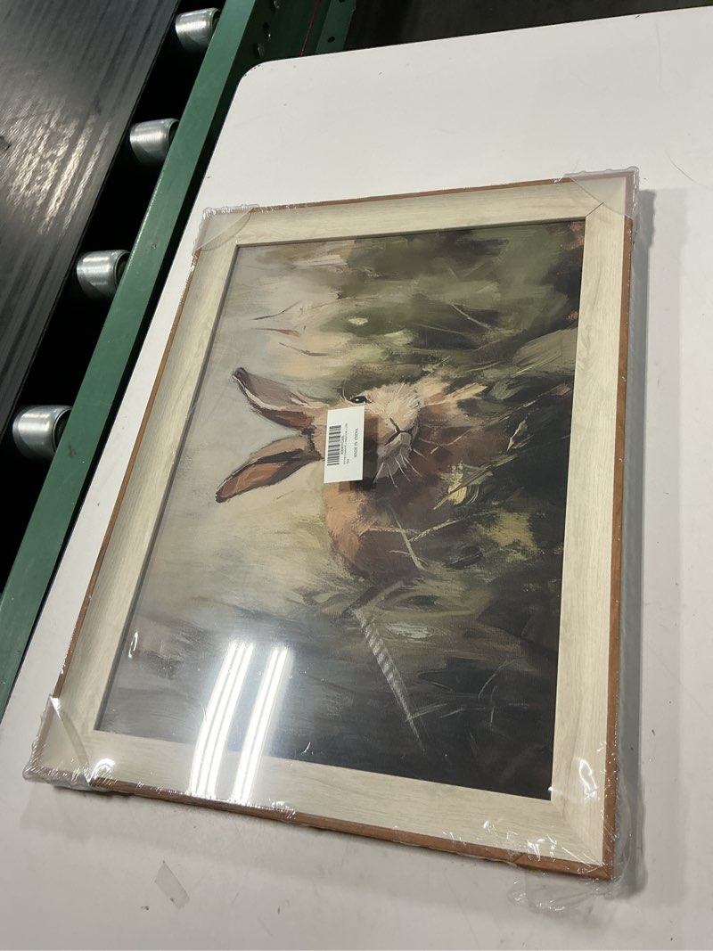 Condition photo showing New/Like New for viyyiea framed wall art for living room, rabbit canvas prints vintage home decor, animals painting picture bathroom wall decor, easter gifts for friends or family -?silly bunny?-(16l x 12w) animals-?bunny? 16"l x 12"w